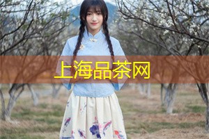 上海各区新茶工作室：上海迪士尼七大主题乐园