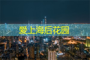 爱上海：上海交友软件