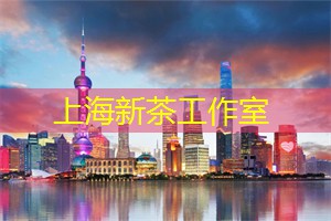 爱上海：作为中国经济的中心城市