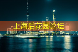 上海养生网：夜上海，和街头艺人一起跳动狂欢的音乐之夜