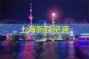 上海花千坊：经典电视作品何以常看常新