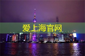 爱上海：上海向来以其繁华和现代感而闻名