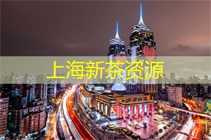 上海新茶工作室：在上海新茶工作室中，感受茶香与诗意的浪漫邂逅！